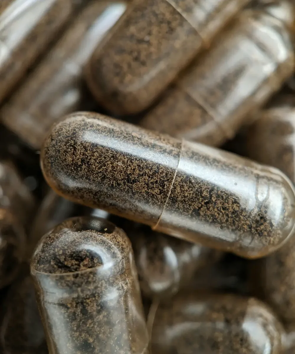 Hur ingredienser i kosttillskott påverkar oss